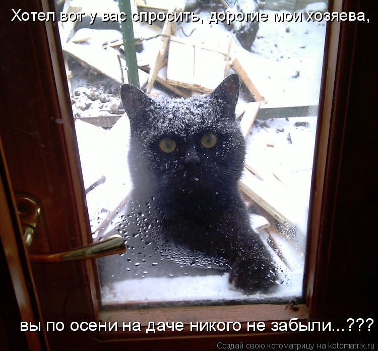 Ежегодная публикация в конце лета " Вы никого не " забыли" на даче?"