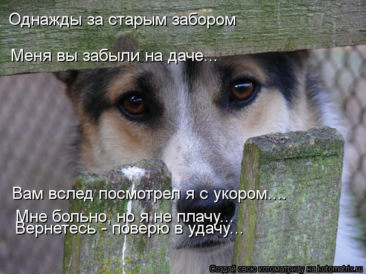 Ежегодная публикация в конце лета " Вы никого не " забыли" на даче?"