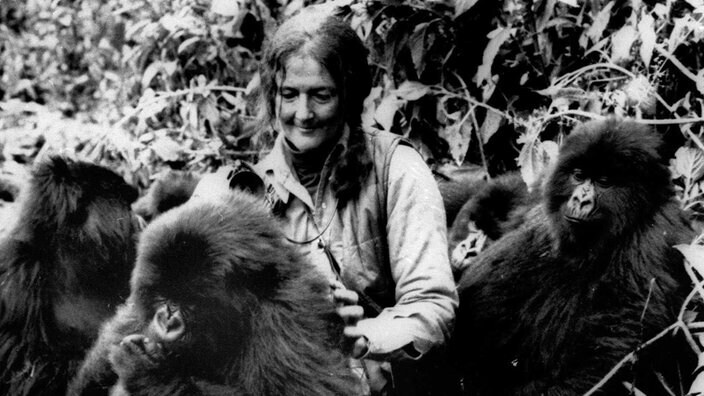 Легендарные ветеринары, как Бернхард Гржимек, до сих пор формируют наш образ врача по дикой природе, который посвящает свою жизнь защите животных.