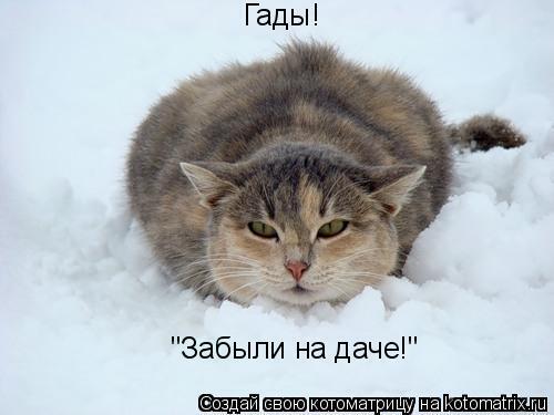 Ежегодная публикация в конце лета " Вы никого не " забыли" на даче?"