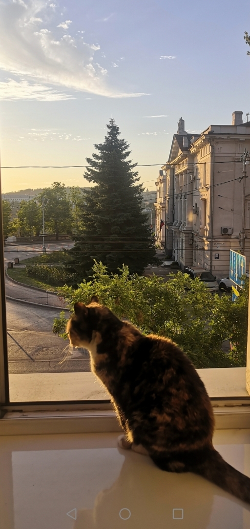 А Вы ничего не забыли сообщить в Роскомнадзор ?