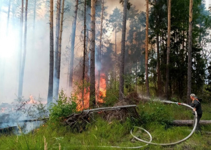 Леса горят, а Губернаторы ждут пинка от Путина.