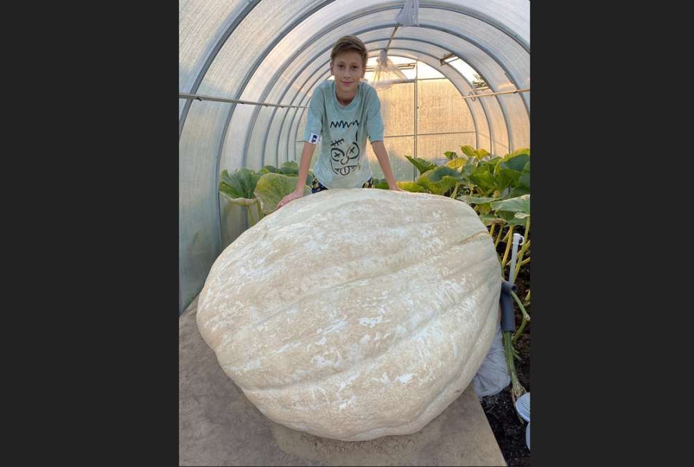 Августовские традиции нашего города.