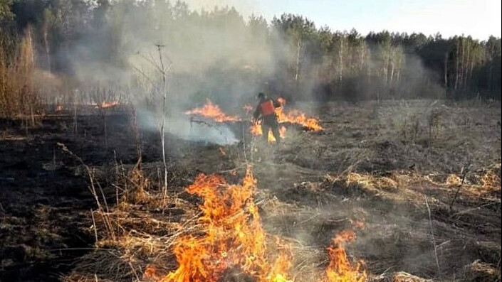 Леса горят, а Губернаторы ждут пинка от Путина.