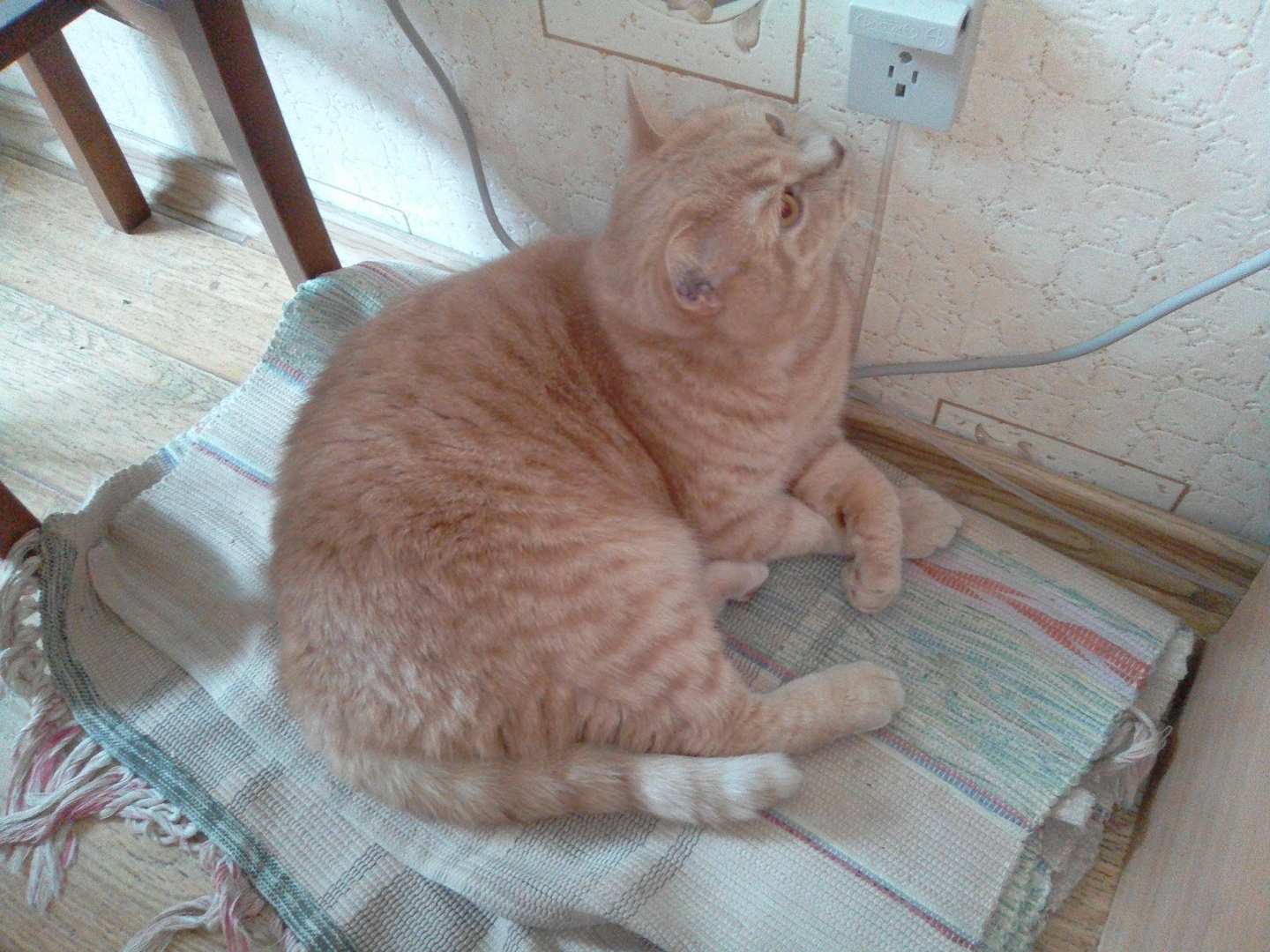 Бесплатные вещи