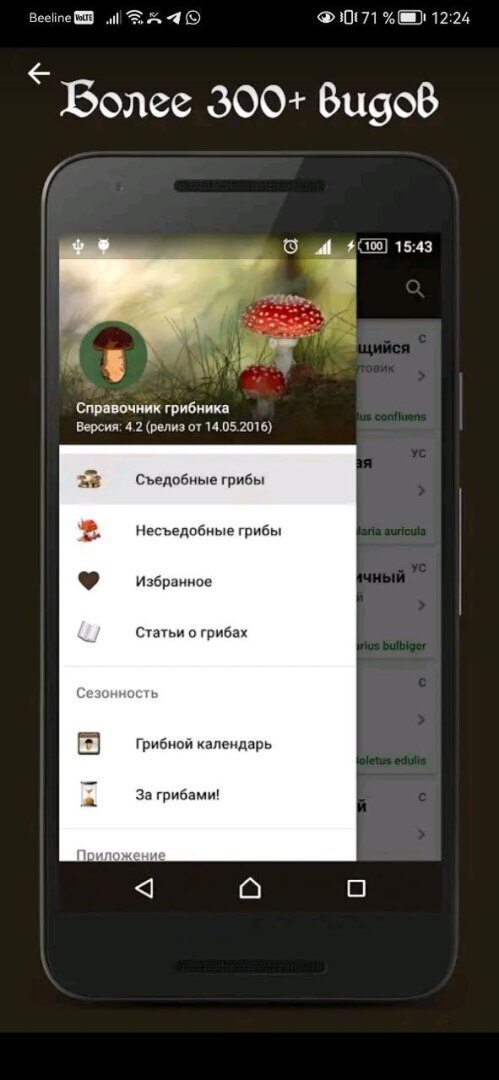 Без них за грибами не ходить! Приложения, которые помогут Вам в выборе!
