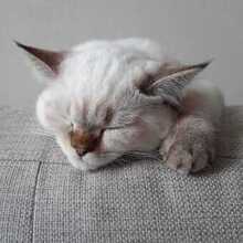 Оксана, г. Благодарный