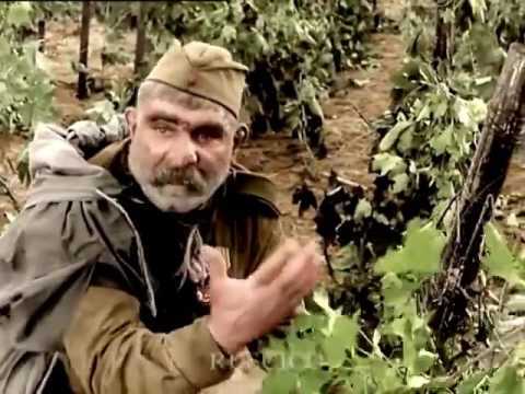 Не переступить черту. Достойно ли в осуждении неонацистских нелюдей уподобляться им?