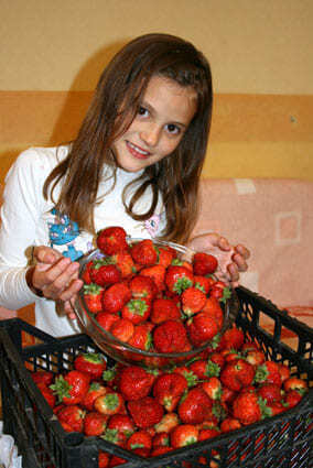 История успеха благодаря ягоде от Зинаиды Петровны