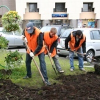 Заработок летом для школьников! А вы летом школьники работали!?