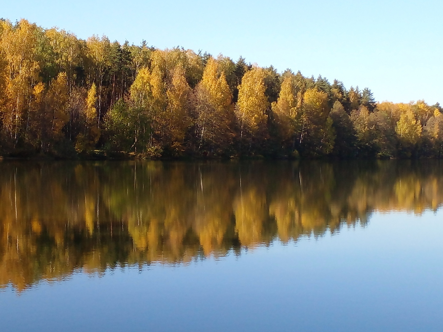 Времена года!