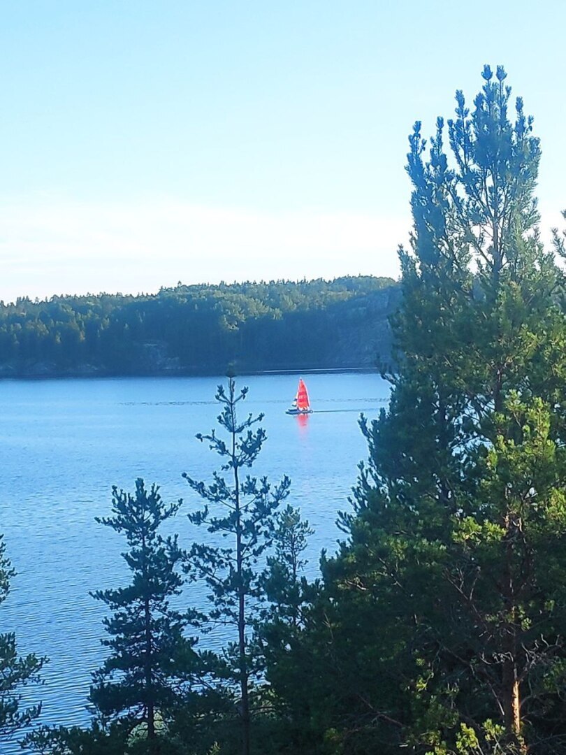 Беру свои слова о юристах обратно! Отличный любовник — петербургский адвокат