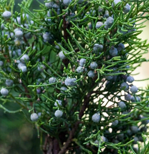 Необычные факты про... Сочи!