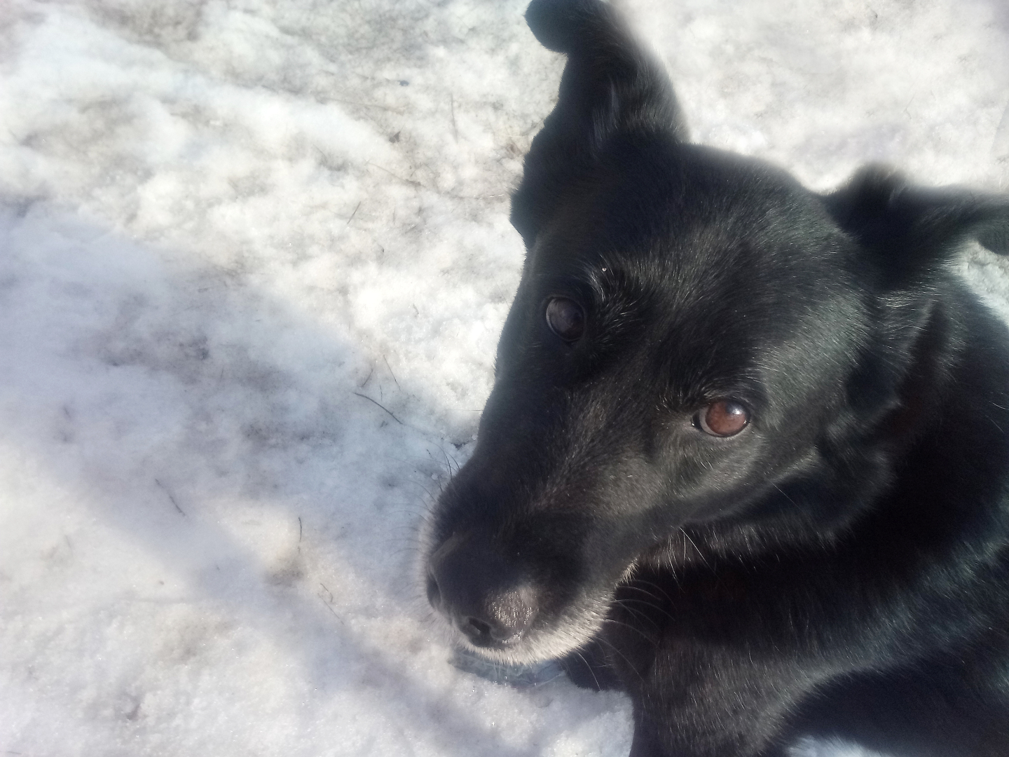 В ОЖИДАНИИ РАЯ