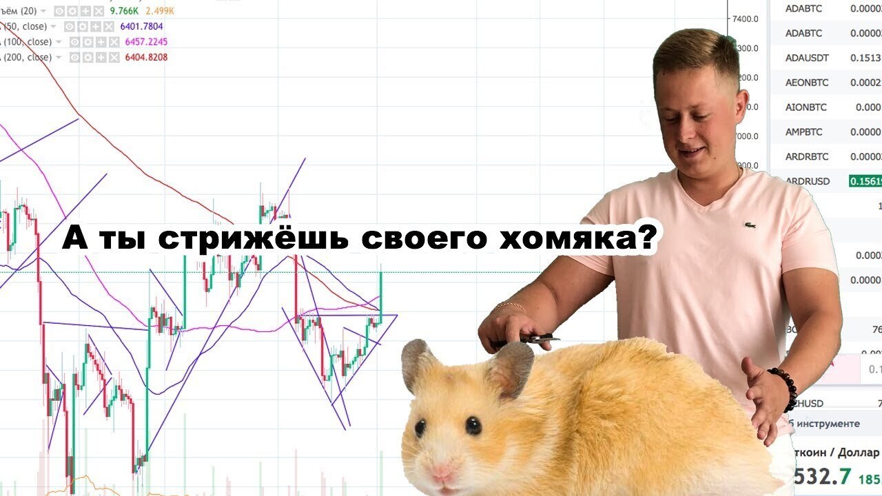 Как не стать жертвой криптовалютных мошенников