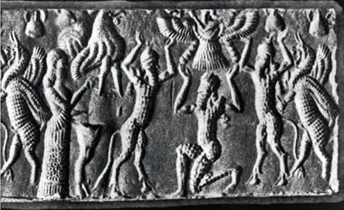 Гибриды в Серафиме под Саккарой в Египте?