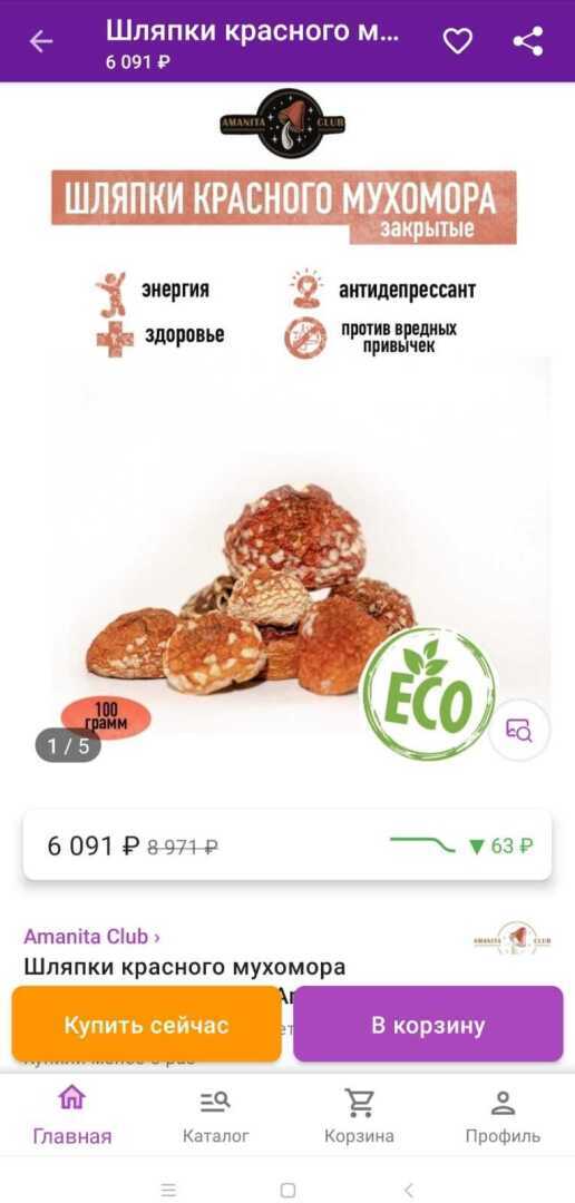 Мухомор - ядовитый гриб. Раньше нельзя было его трогать, а сейчас можно? Новая "мода" на грибы.