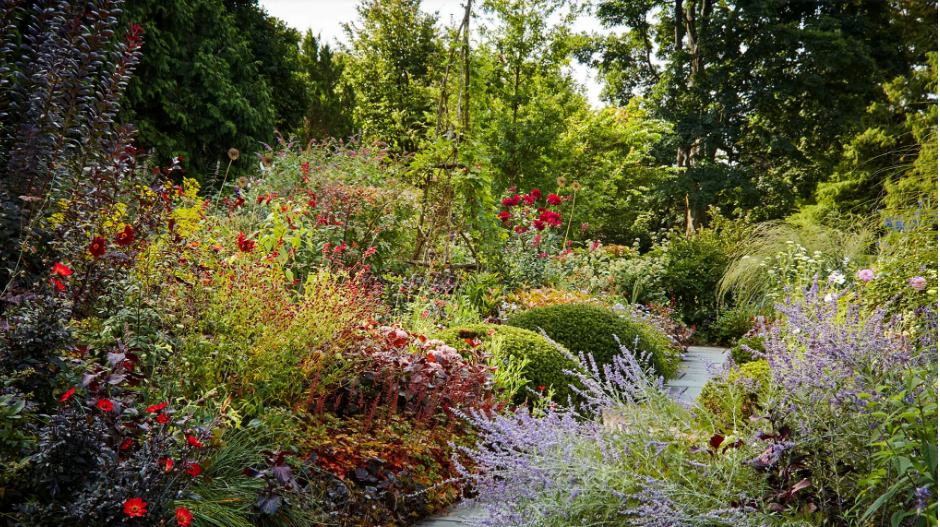 Почему ‘сентябрь - это новый май", когда дело доходит до посадки цветов