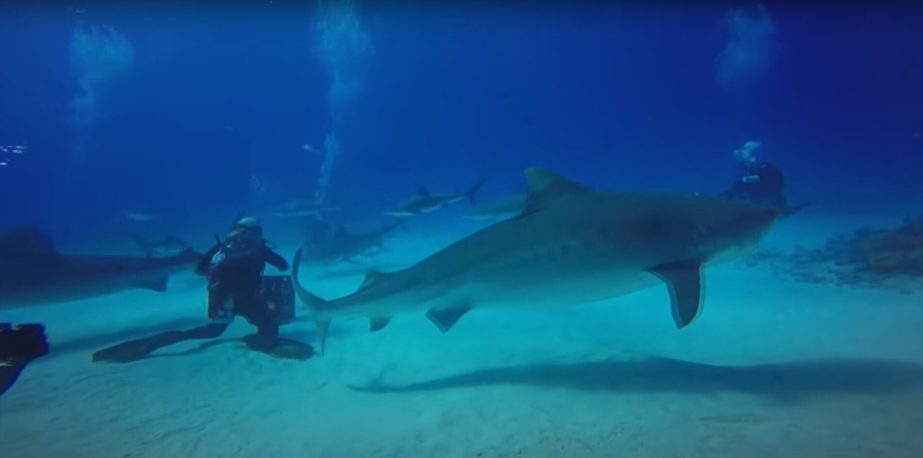 Экзотический отдых. Страны Вест-Индии