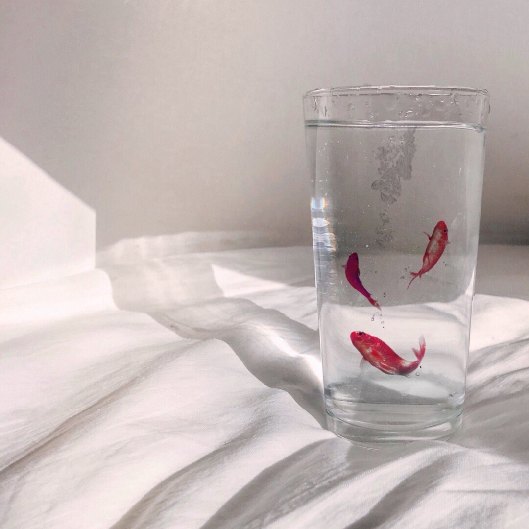 Как предотвратить обезвоживание?