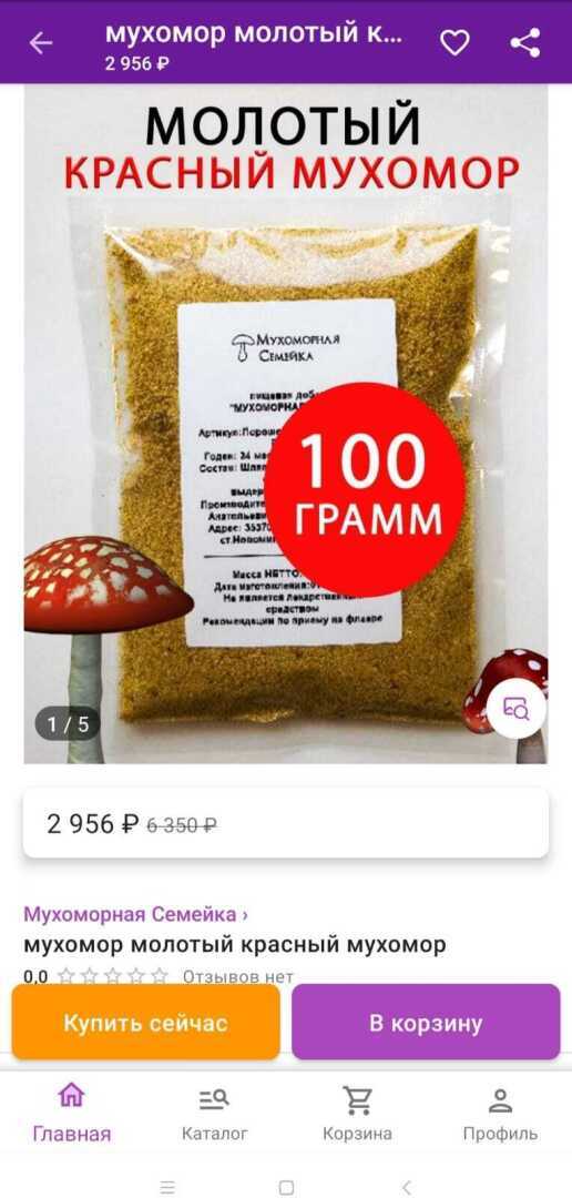 Мухомор - ядовитый гриб. Раньше нельзя было его трогать, а сейчас можно? Новая "мода" на грибы.