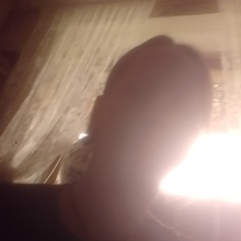 Гонсиоровская Виктория Алекндровна, г. Санкт-Петербург