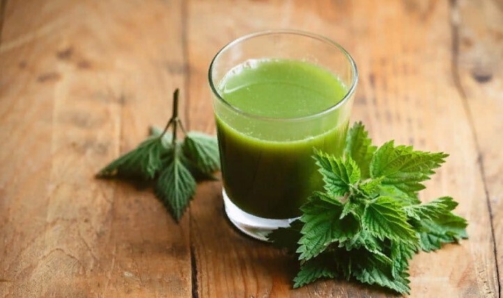 Применение крапивы