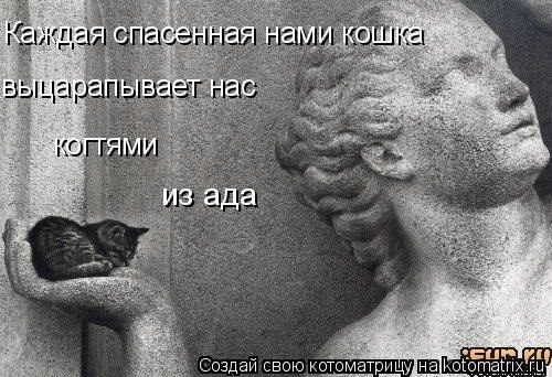 Я буду считать, что сегодняшний день прожит не напрасно