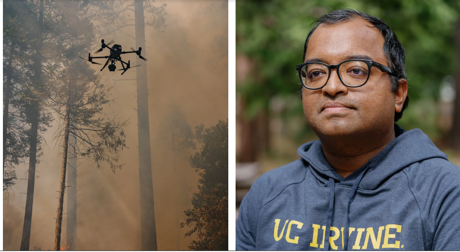 Как спасти лес, сжигая его