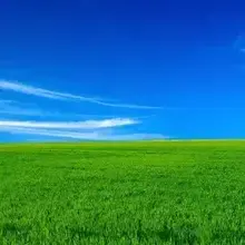 Мой#, г. Кемерово