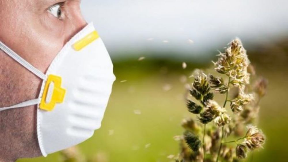 Календарь аллергика: как выжить в сезон аллергии?