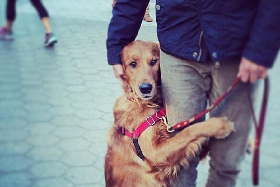 В память о Лорде.