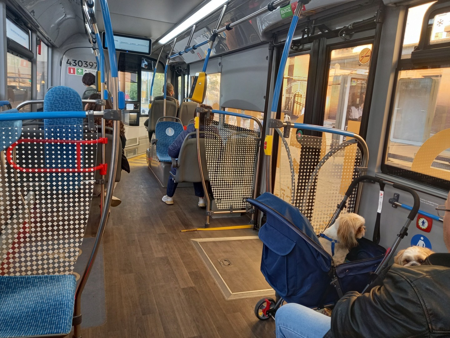 Собаки вместо детей? Тенденция, однако