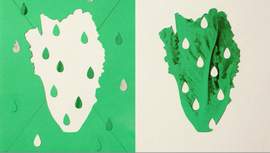 Действительно ли "Вода из салата" - это снотворное вашей мечты?