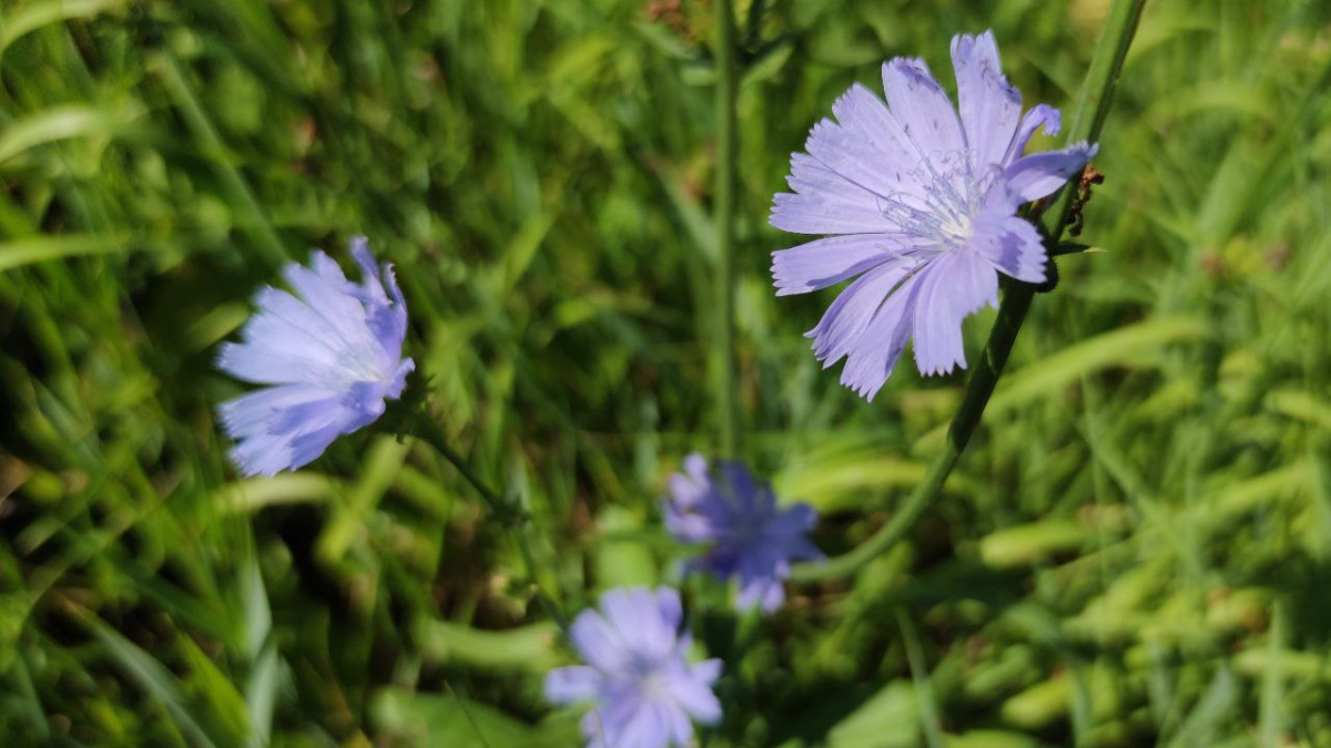 Народные приметы 16 сентября 2022, конфликта в пятницу не избежать: лунный календарь,
