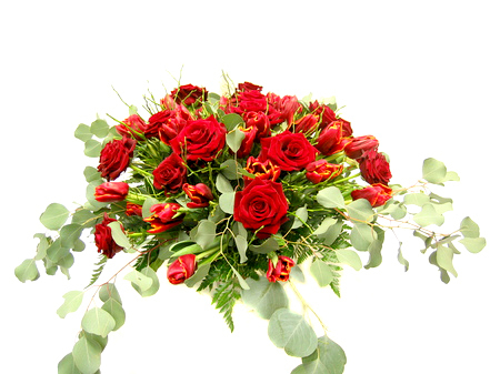 Лев. Таро прогноз с 19 по 25 сентября