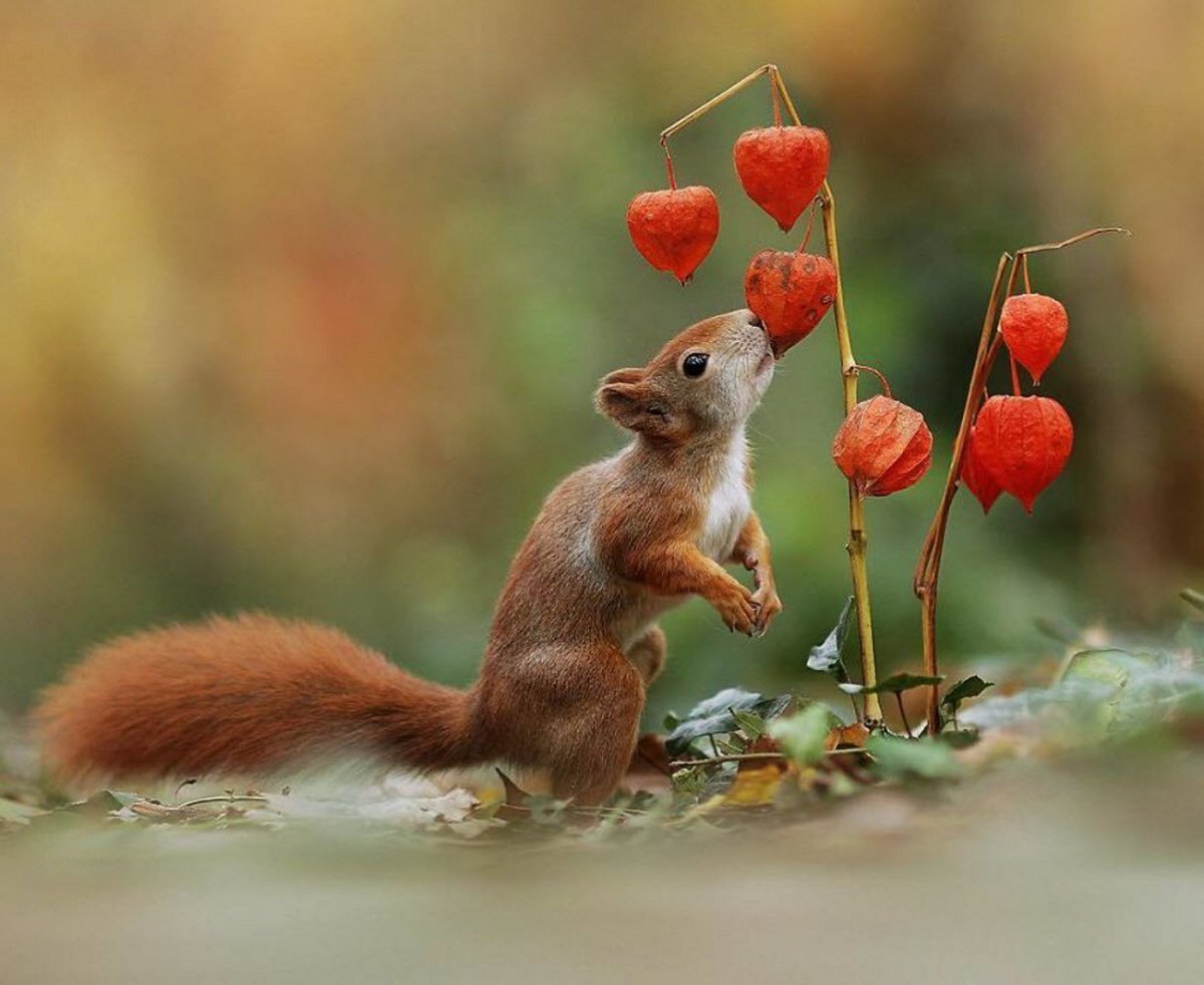 Осень не повод для грусти