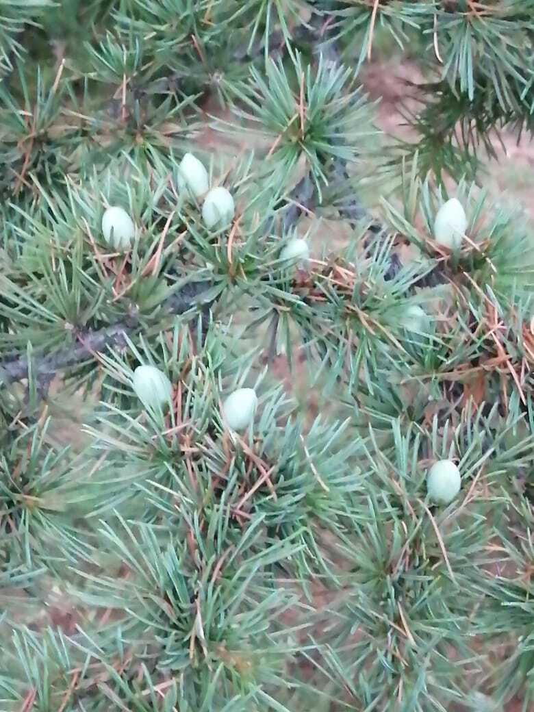 Есть ли жизнь после неплатежеспособности?