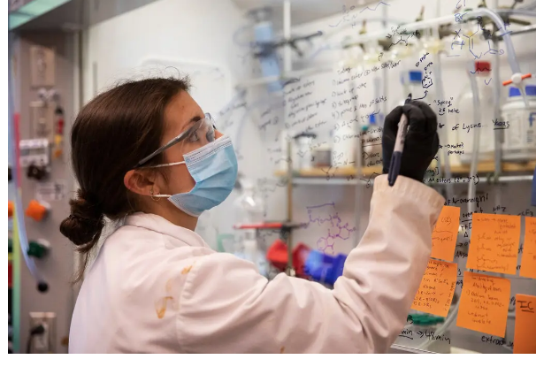 В колледже учится больше женщин, чем мужчин. Это может изменить экономику?