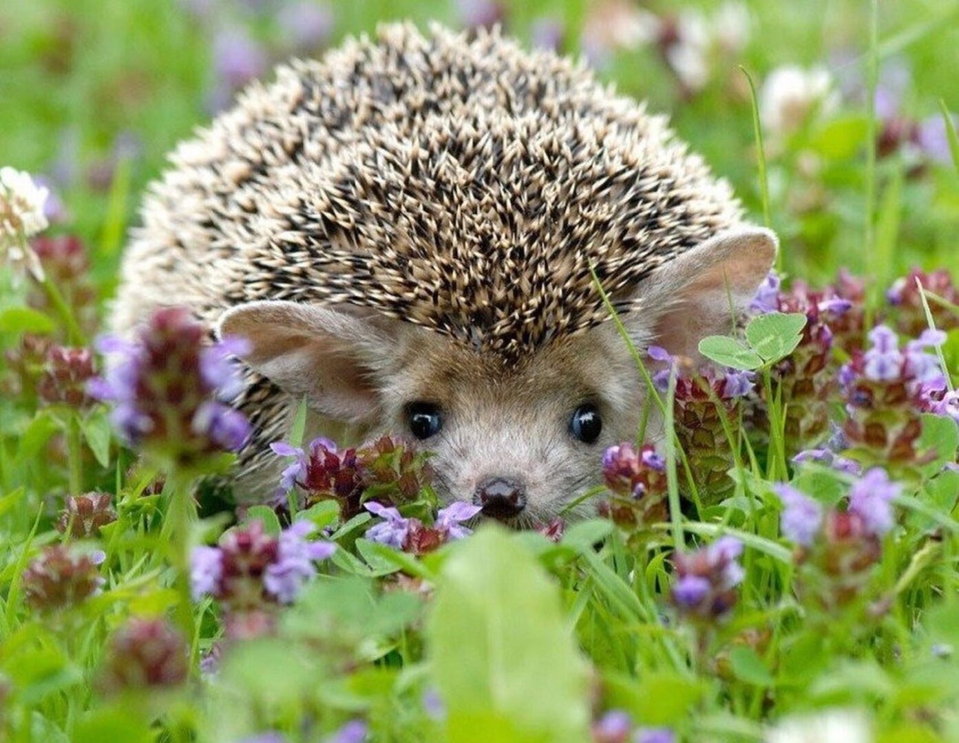 Сотвори солнце в себе.