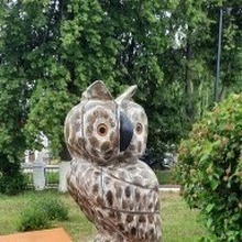 Ольга, г. Казань