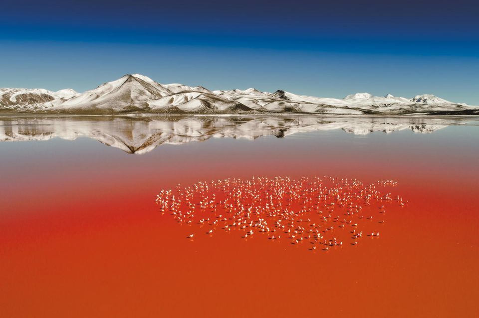 Завораживающая красота нашей планеты!