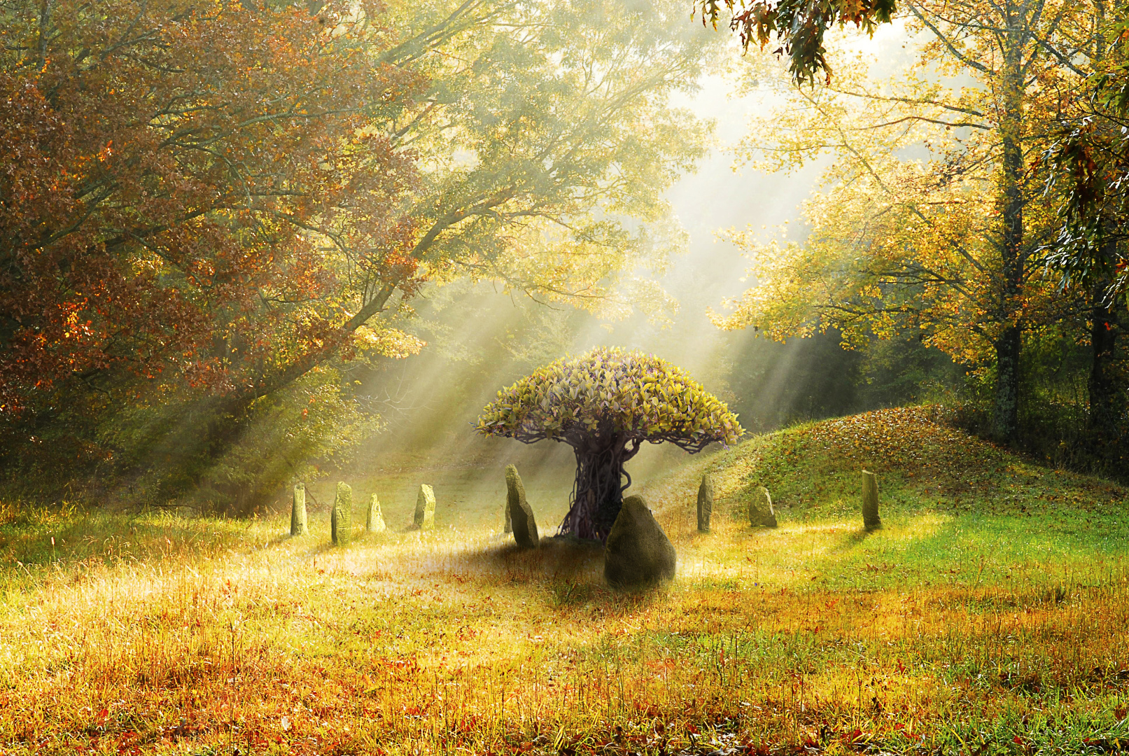 Сотвори солнце в себе.