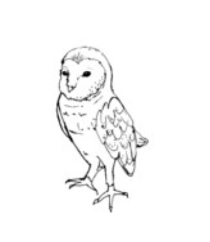 Отчёт по стокам за июнь 2022 год