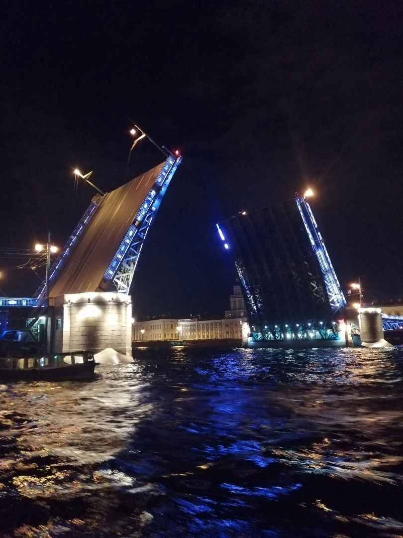 Порядок выезда гражданина из России: можно ли уехать из России сейчас? Какие основания для отказа в пересечении границы, выезд за границу с ребенком