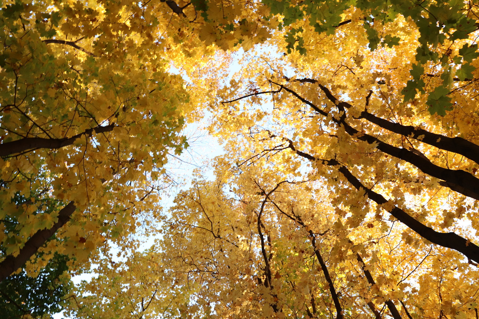 Я боюсь! И это нормально!