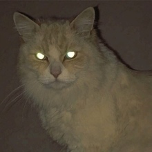 Даня Мансуров, г. Челябинск