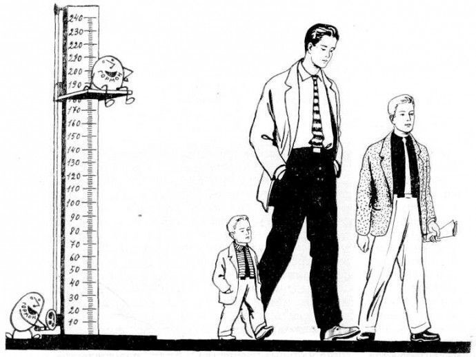 Подсчитана связь роста человека с его питанием