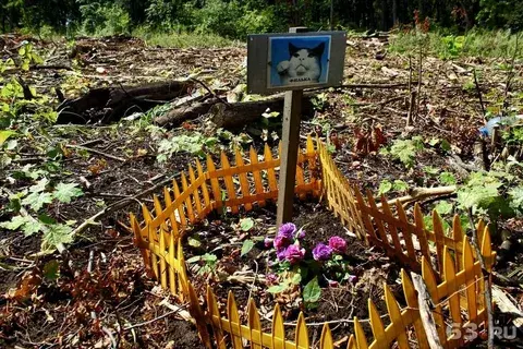 "Прощай, друг!", или Кладбище для домашнего животного