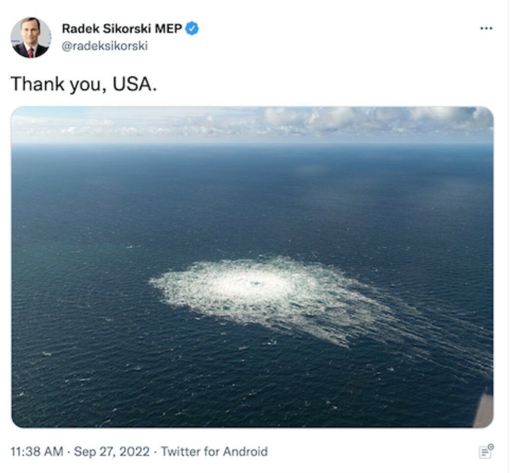 НАТО, видимо, будут воевать сами с собой